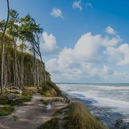 In Near & Pool Sarbinowo